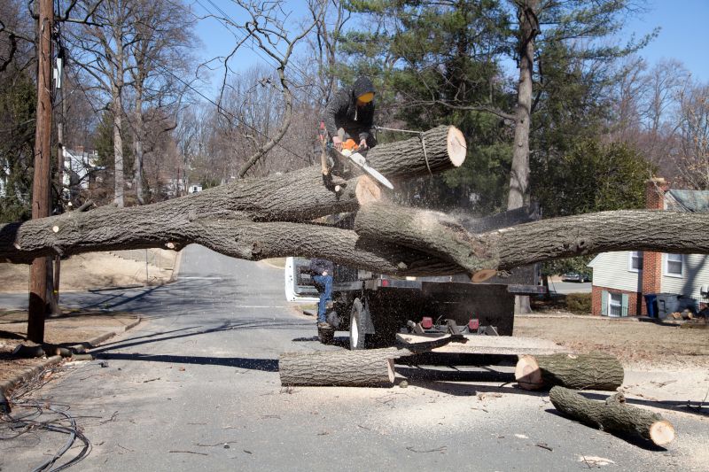 Apple Tree Removal in Pottstown, PA