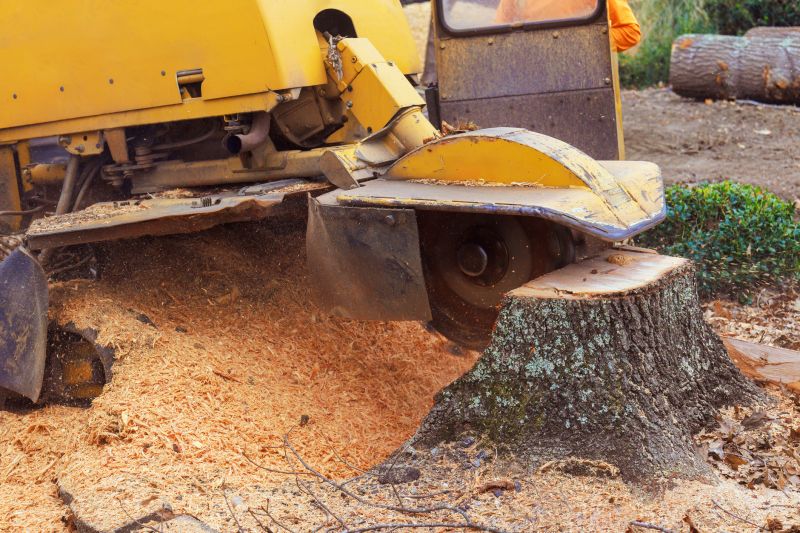 Bush Stump Grinding in Calvert County, MD