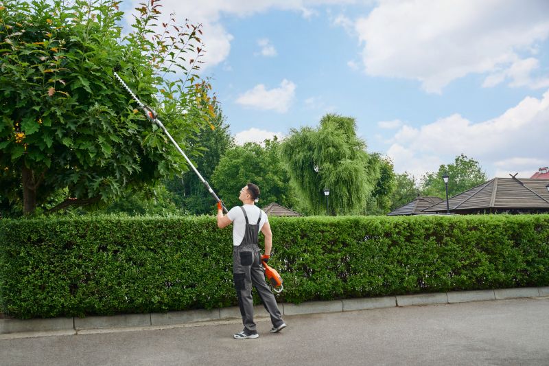 Commercial Shrub Trimming in Ventura County, CA