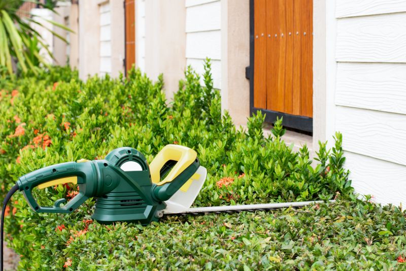 Evergreen Hedge Trimming in Rockwall, TX