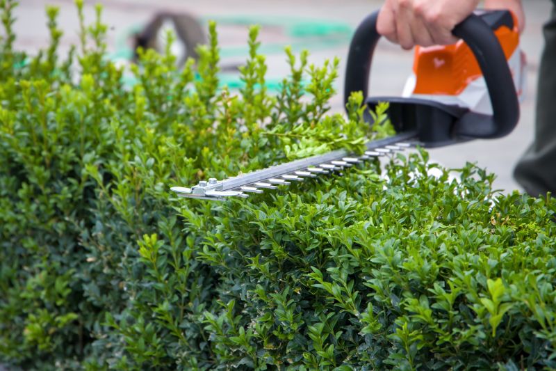 Evergreen Hedge Trimming in Rockwall, TX