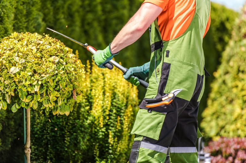 Hedge Shaping Service in Rockwall, TX