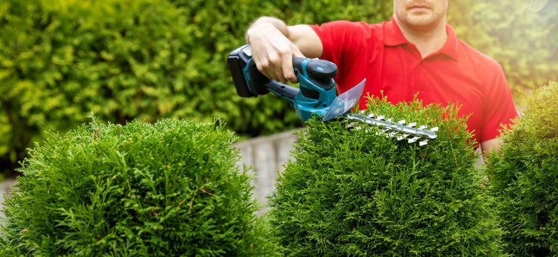 Landscape Pruning Service in Ventura County, CA