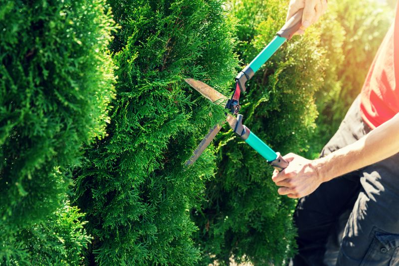 Shrub Pruning in Rockwall, TX