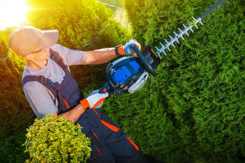 Shrub Trimming in Rockwall, TX
