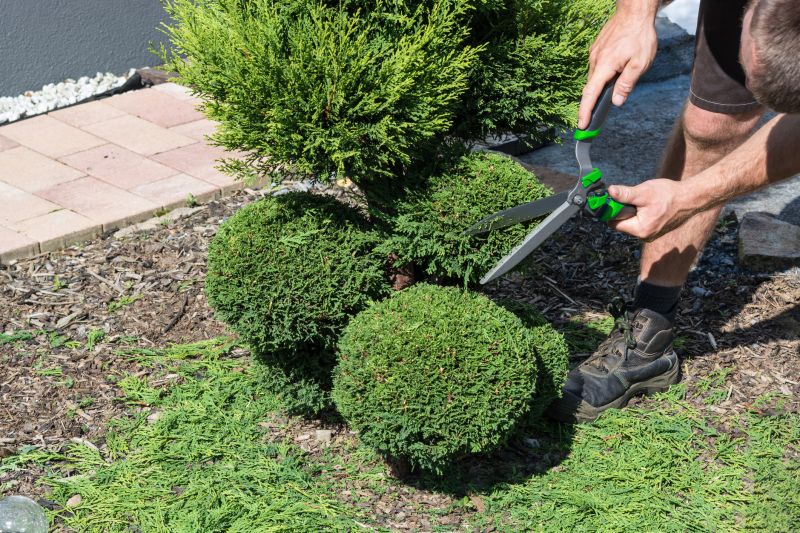 Shrubs Removal in Ventura County, CA