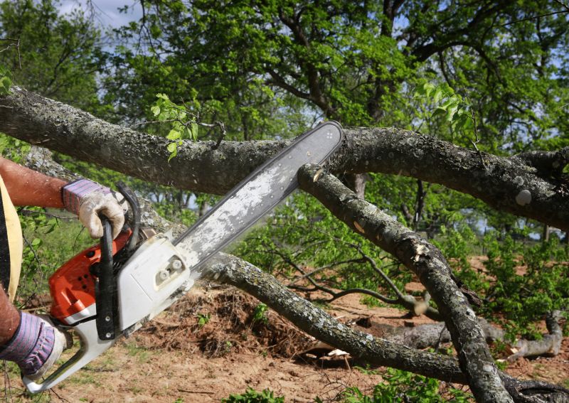 Tree Service in Pottstown, PA